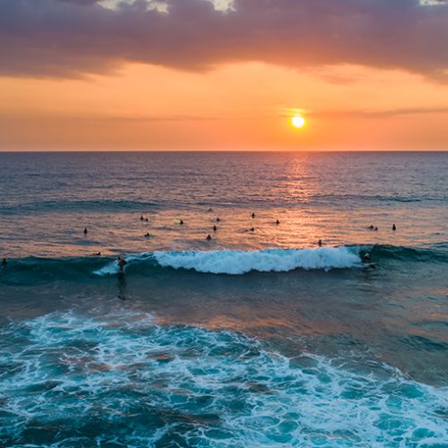 Aerial view of surfers near Hikkaduwa beach. Hikkaduwa, Sri Lanka.