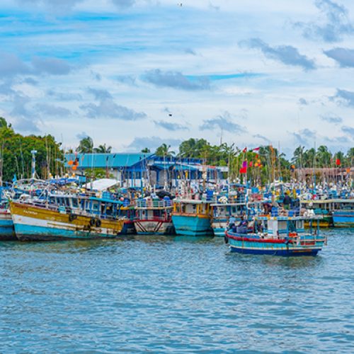 Negombo, Sri Lanka, February 13, 2022: Fishing boats mooring at the shore of Negombo lagoon in Sri Lanka.