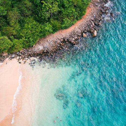 Tropical Jungle Beach in Sri Lanka. Aerial view of Exotic Costline and Rainforest. Paradise Beach.